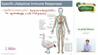 วิชาชีววิทยา ตอนที่ 4 (ระบบภูมิคุ้มกัน IV)