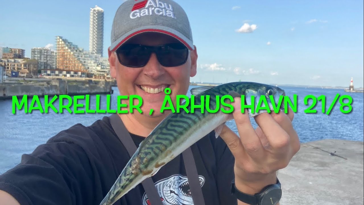 Makrel og fiskepladser på Århus havn