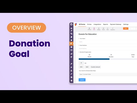 How to Use the Donation Progress Item in Paymattic | WordPress 2024