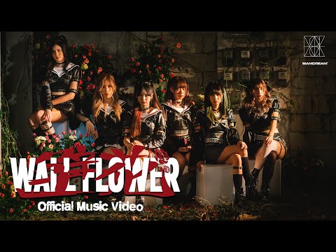 Siam☆Dream / Wallflower 【MV Official】