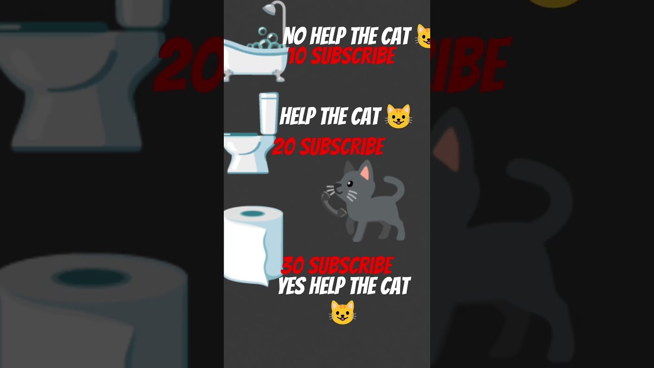 Meow Bill Ki Video Shorts Viral Cat