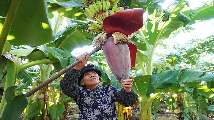 香蕉花還能這樣吃？很多人見過，但沒吃過的農村特色菜Guangxi grandma uses banana flowers to make Chinese food ｜廣西 美食｜ 玉林阿婆 - 天天要聞