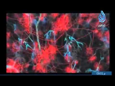 عجائب القرآن لا تنتهي