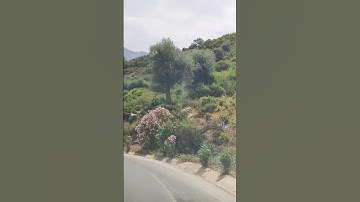 سورة الفيل الشيخ خالد الجليل تلاوة خاشعة مكتوبة جودة عالية جدا