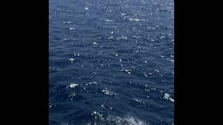 Pause (prod.HIGHCELL)