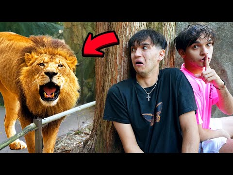 EXTREME HIDE AND SEEK IN A ZOO!
