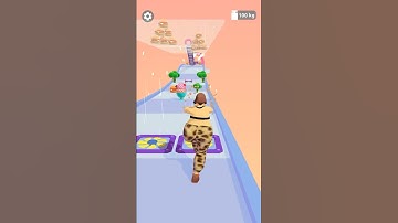 Body Race - Gameplay Walkthrough #257 Body Race Game Andriod, ios All Levels