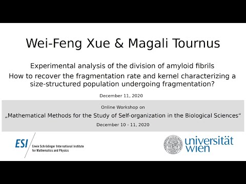 Wei-Feng Xue & Magali Tournus