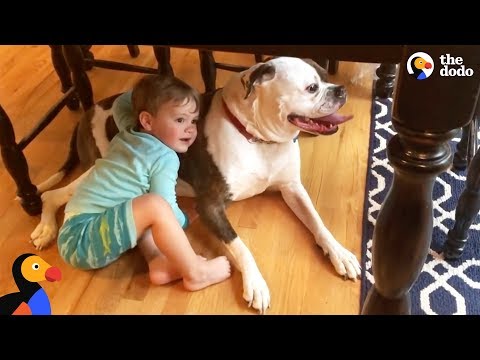 Kid Comforts Dog During Thunderstorm | The Dodo