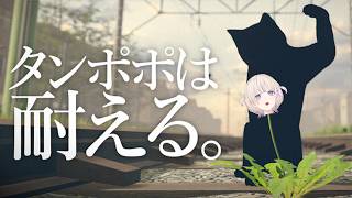 轟はじめ(とどろきはじめ)の配信のサムネイル画像