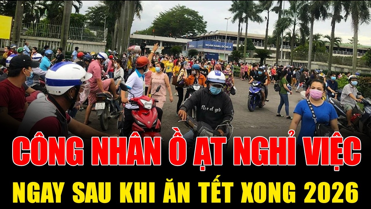 Tin Tức 24h Mới Nhất Hôm Nay Ngày 01/02/2026✈Tin Nóng Thời Sự Việt Nam và Thế Giới | GocNhinCuocSong