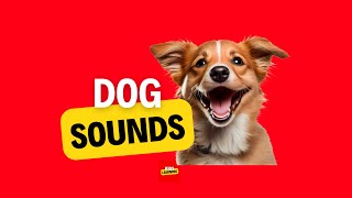 Dog Barking Sounds | Dog Sounds (See How Your Dog REACTS)