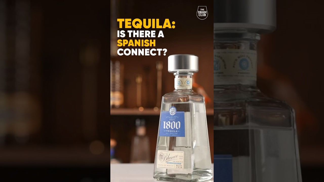 What is Tequila ? How is Tequila Made ? Discover the history & origins of Tequila !