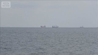 黒海でイルカが大量死　ロシア侵攻以降10万頭　機雷や軍艦からの低周波音が影響か(2026年6月30日)