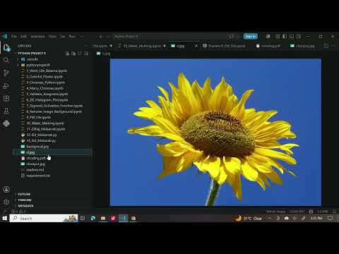 Add Watermark to Images Using Python  | Easy Pillow Tutorial for Beginners 🐍🖼️
