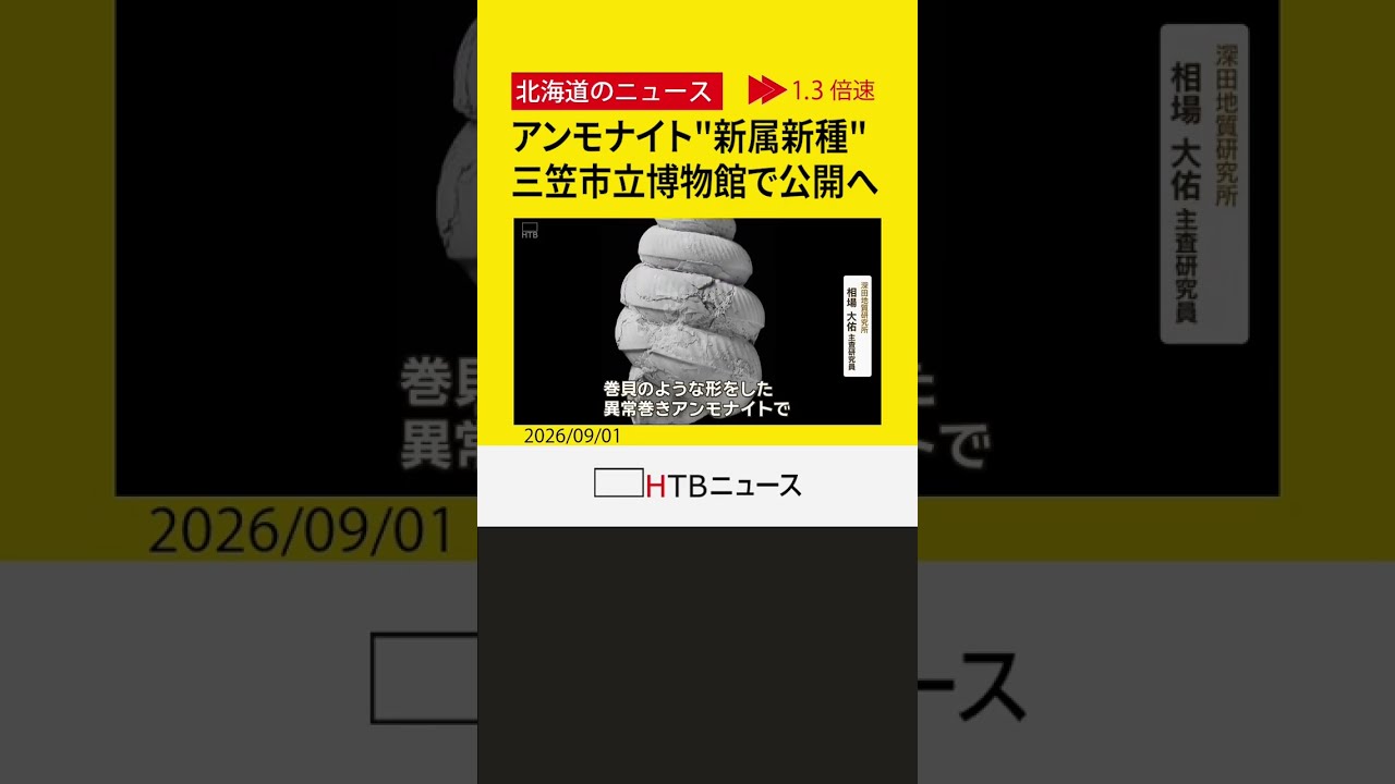 道北で発見された「異常巻き」アンモナイト化石が