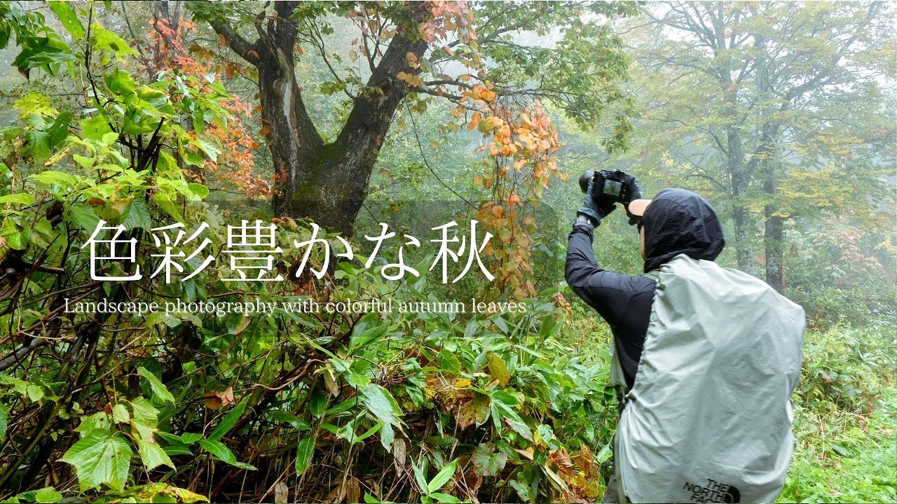 【風景写真】色彩豊かな秋の始まり・雨と霧に包まれて