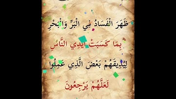 سورة الروم الآية ( 41 )