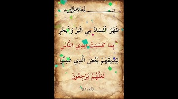سورة الروم الآية ( 41 )