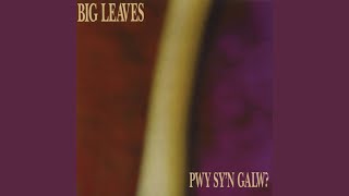 Video thumbnail of "Big Leaves - Synfyfyrio"