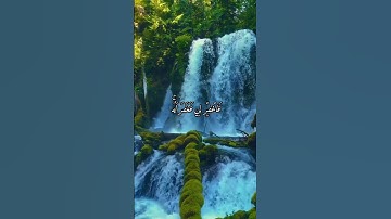 #القارئ ماهر المعيقلي #اذكرالله #اكسبلور #المصحف #duet #دويتو #راحة_نفسية #لايك #حالات_واتس #تيك_توك