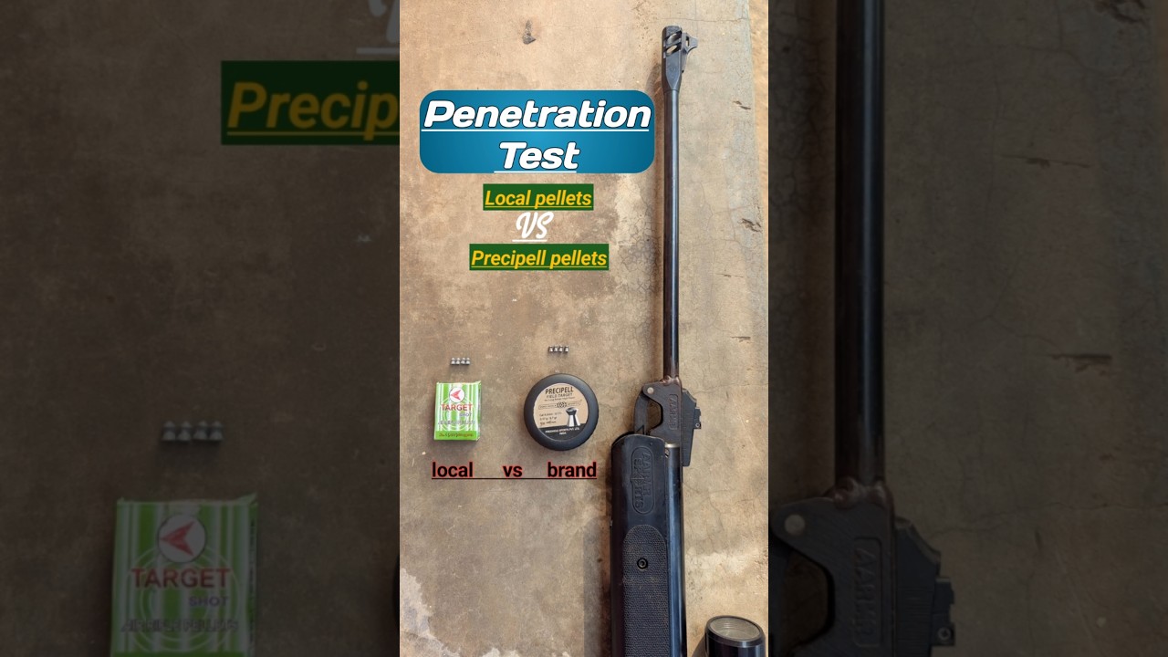 shooting with airgun pellets comparison 