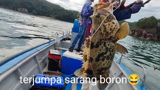 casting kerapu guna soft plastic,full strike kerapu #shots#casting screenshot 3