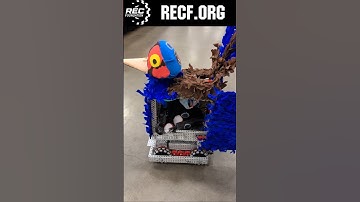 Fun Vibes at #vexworlds @RECFoundation @vexrobotics