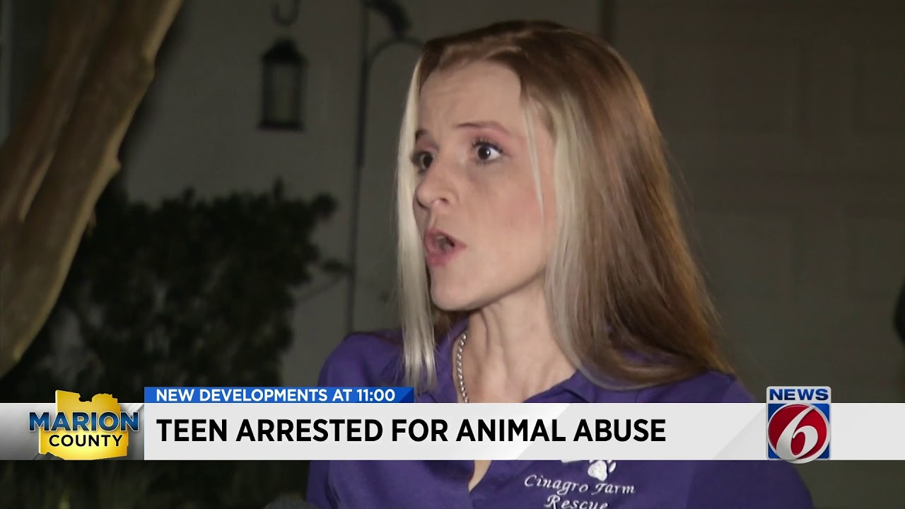 Teen arrested for animal abuse