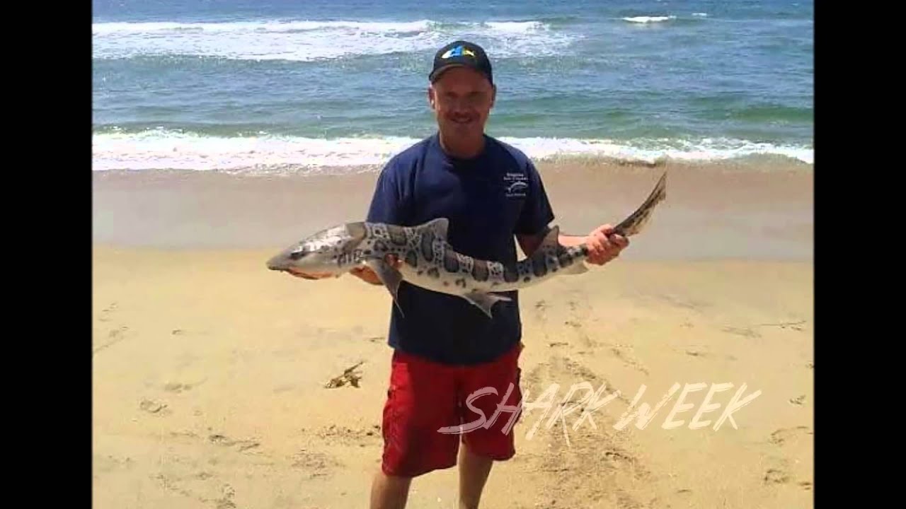 Surf Fishing Southern California YouTube