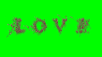 4K Love Logo made of flowers Animation AA VFX