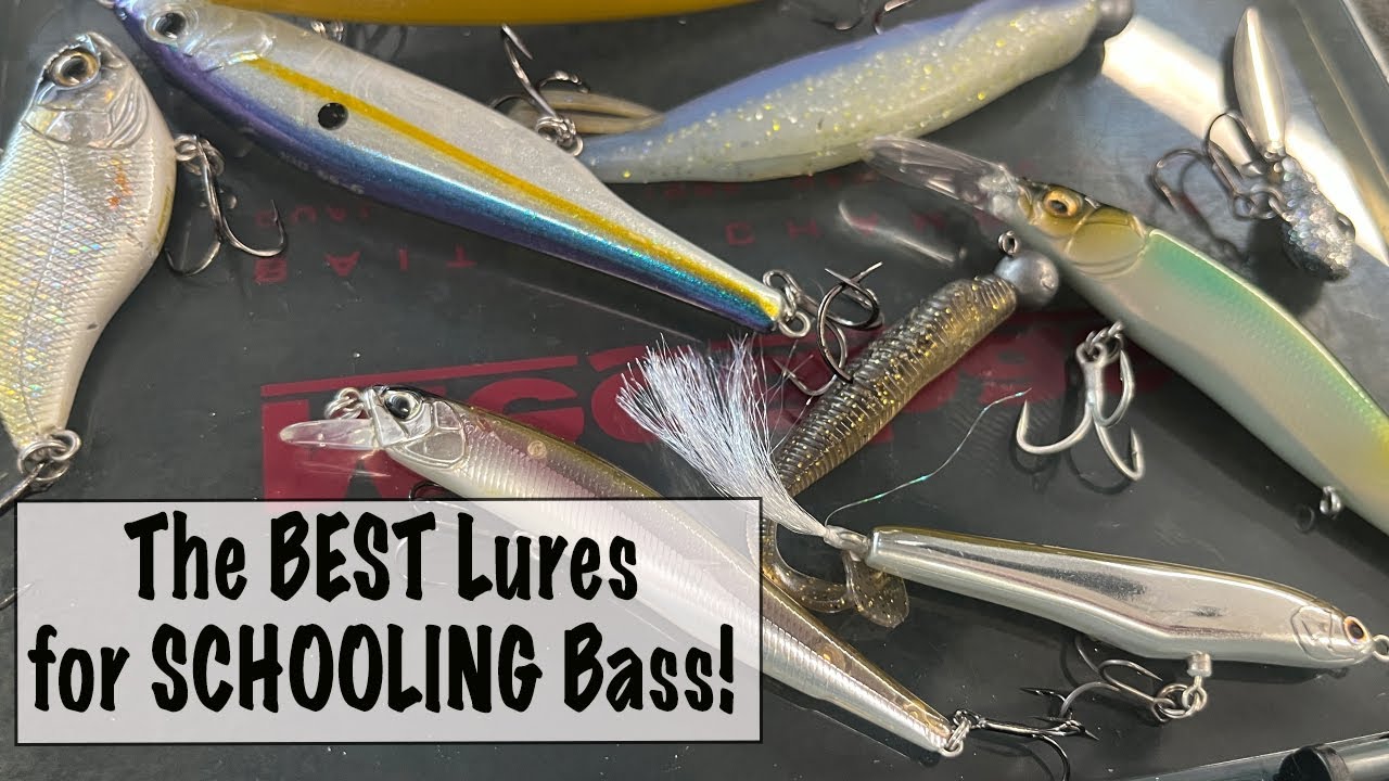 saltwater braided fishing line 500M 547Yds Camo Blue 10lb-300lb HERCULES PE braid 8 Stra – HERCULES Fishing Tackle How To Change Baitcaster Marine Navigation & Instruments | GPS - Fishfinder Combos fewer tangles Model:LVS42HD (ETA Mid August)