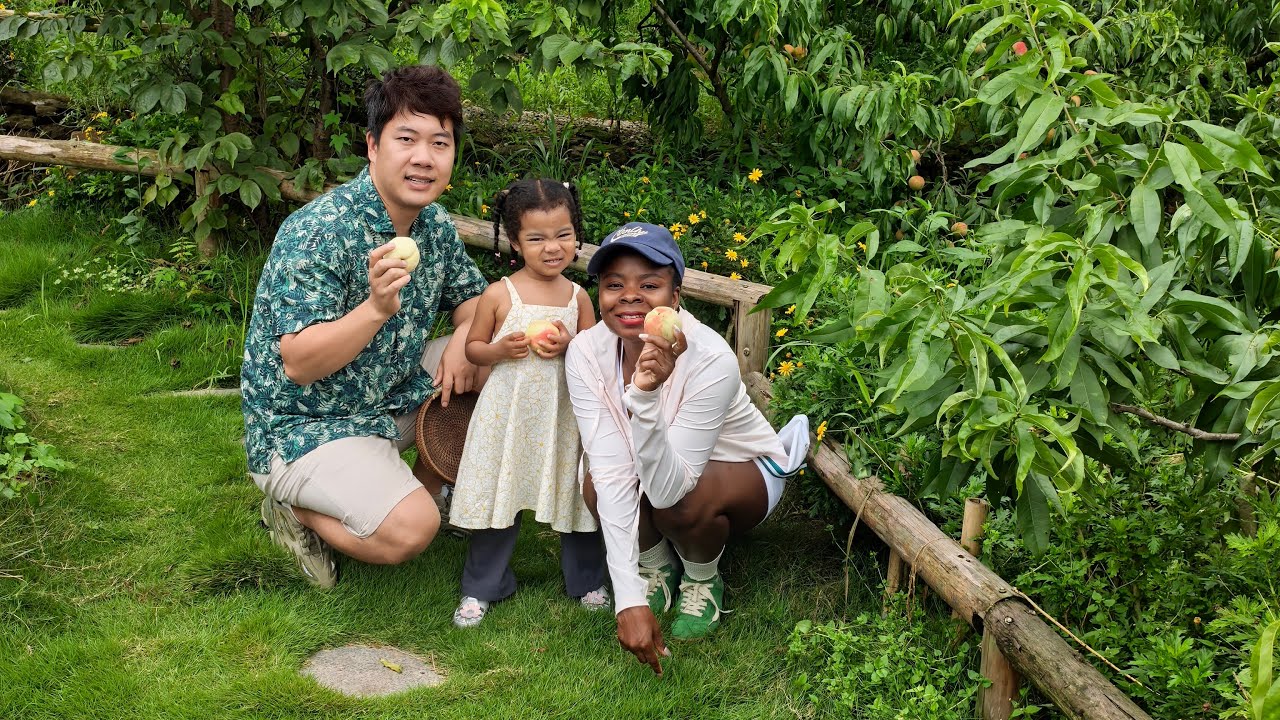 Pick peach and plums, the kids are so happy