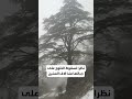حكاية اسم لبنان