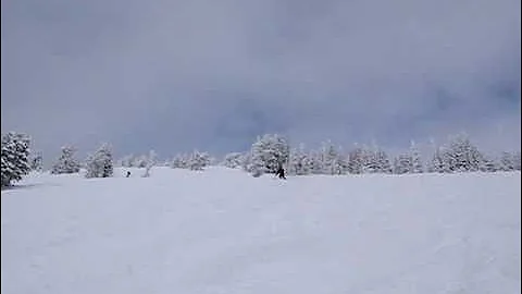 Grand Targhee Skiing 1/2/2010