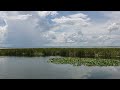 Lake Apopka Wildlife Drive 8-28-22 beautiful view