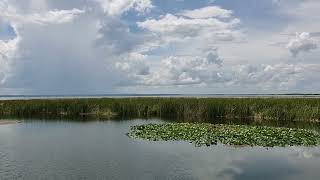 Lake Apopka Wildlife Drive 8-28-22 beautiful view