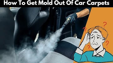 How to Get Mold Out of Car Carpets (Step-by-Step!)