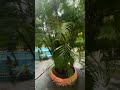 Villa con piscina en Haina Nigua 8298618303 Kelvin Volquez