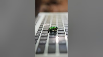 Why Computer Errors Called Bugs? 😳 #shorts