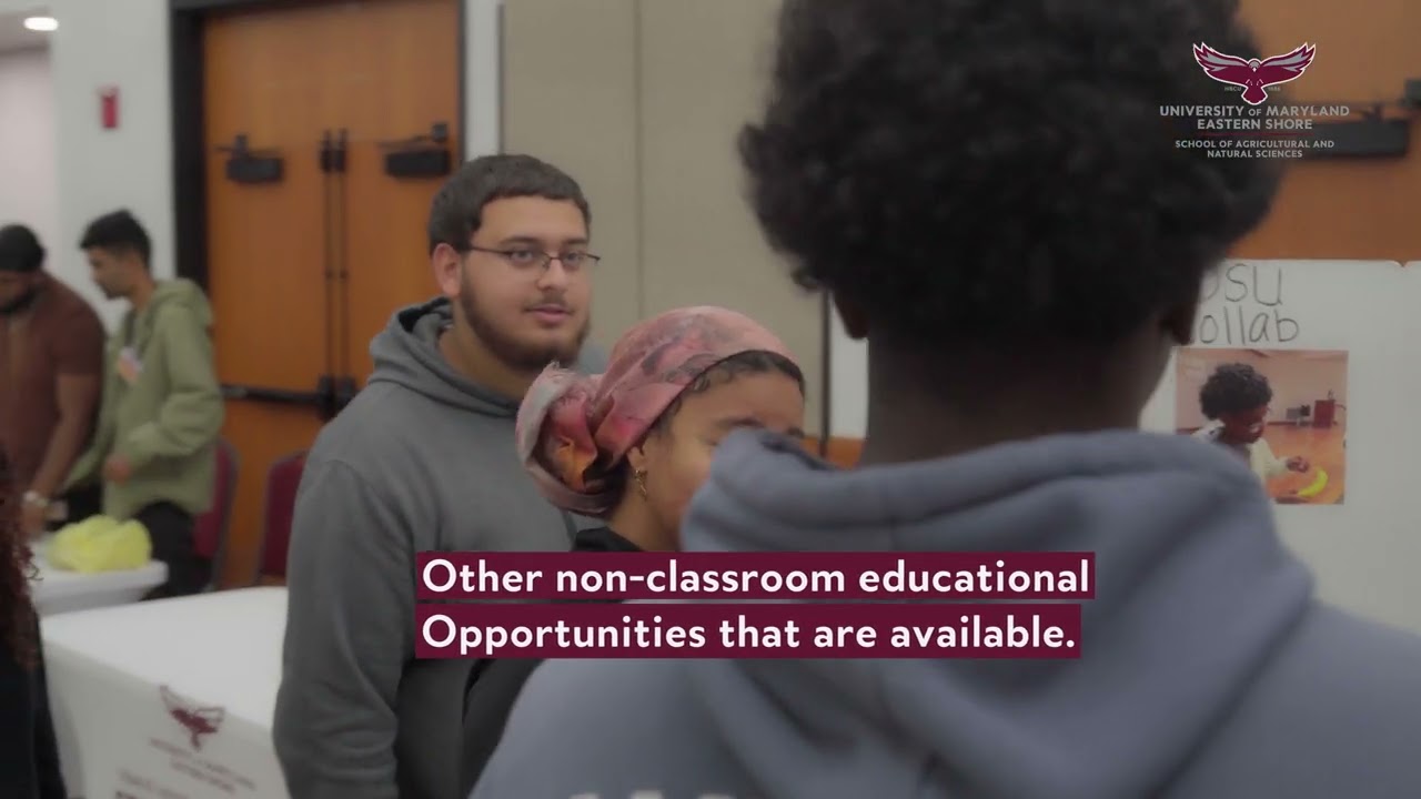 SANS First Look Fair: Learning outside the classroom