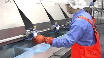 CheckBin Grader Fish – Fixed but flexible