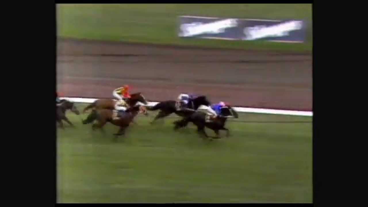 1985 VRC Melbourne Cup Day _ The Great Western