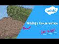 Wildlife Conservation Quiz
