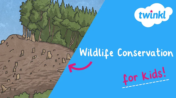 Wildlife Conservation for Kids | What Is Wildlife Conservation? | Twinkl USA thumbnail