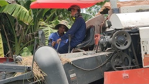 máy cắt lúa Kubota 70 Của tài xế nhí Là đây tập1035#maibangtv