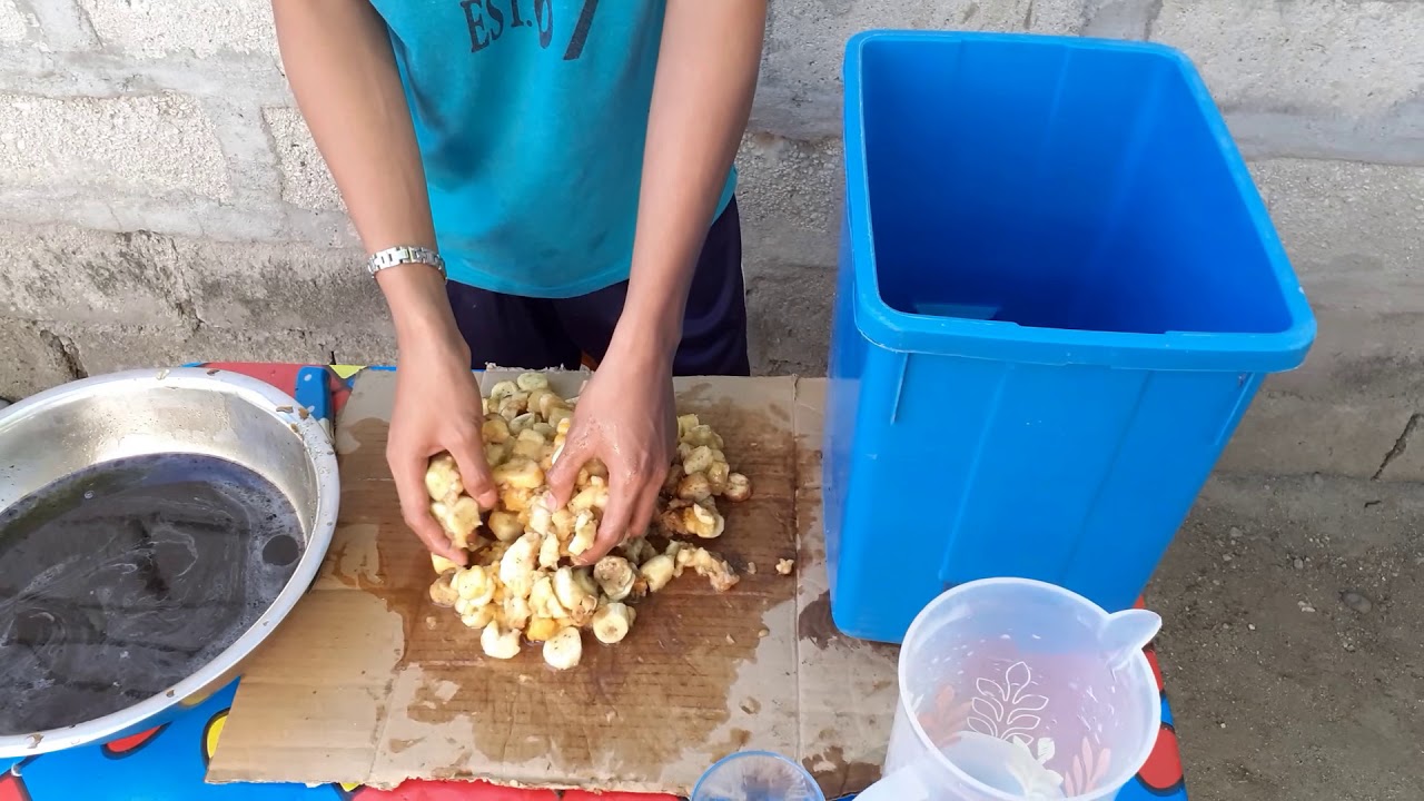 How to Make Fermented Fruit Juice - Home Ingredients