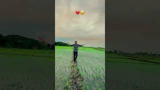 ✨ Nature in Slow Motion | Relaxing Beauty of Every Frame 🌿🌊”