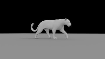 Quadruped Animation Examples