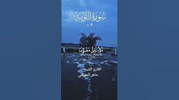 #آيات #من #سورة_التوبة #القارئ #الشيخ_ماهر_المعيقلي #لايك #اكسبلور
